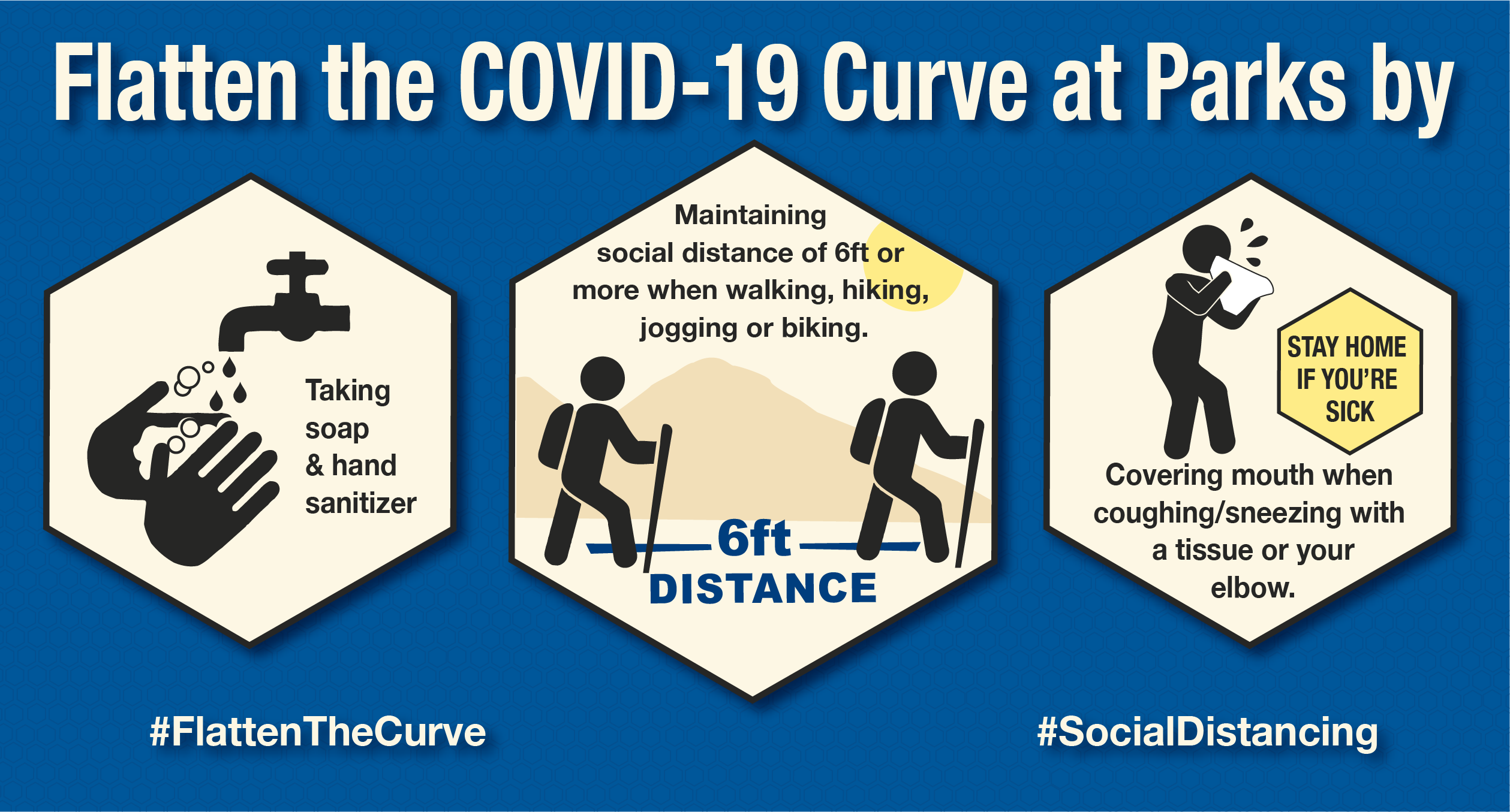 Flatten the COVID-19 Curve image
